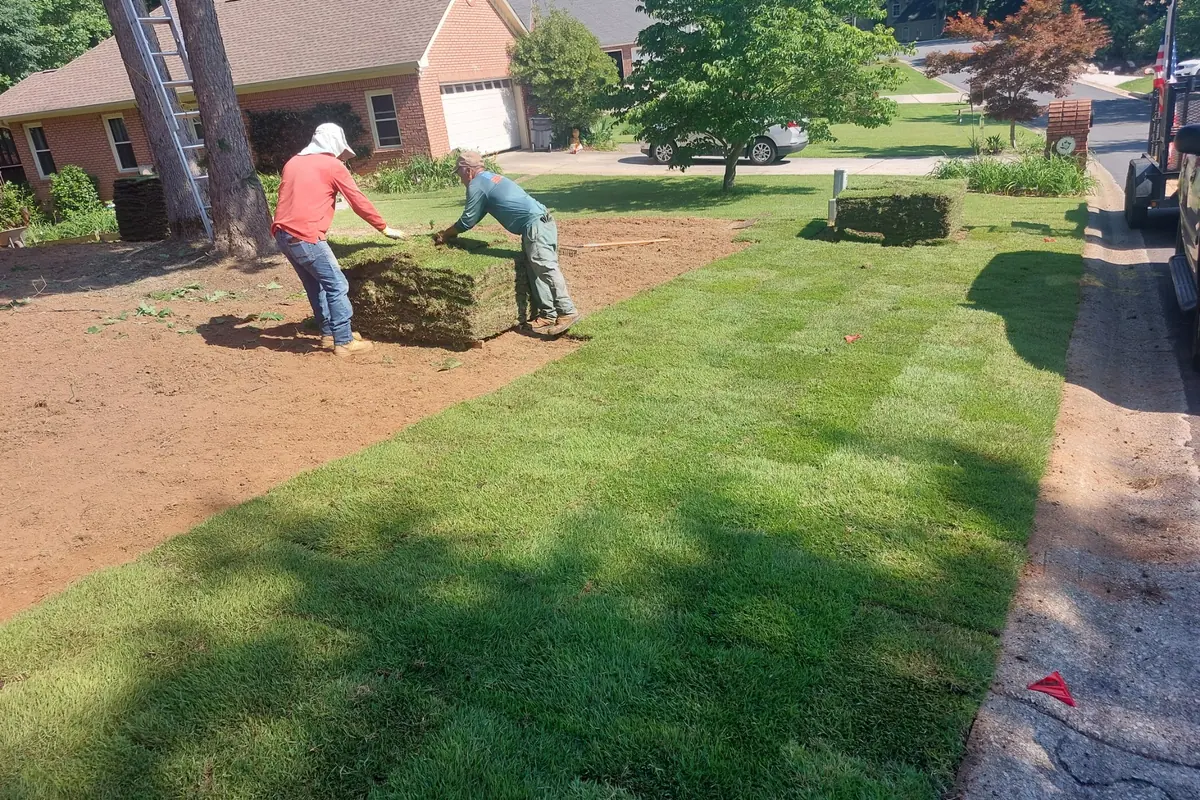 Two crew members carrying and laying a roll of sod across a graded front yard